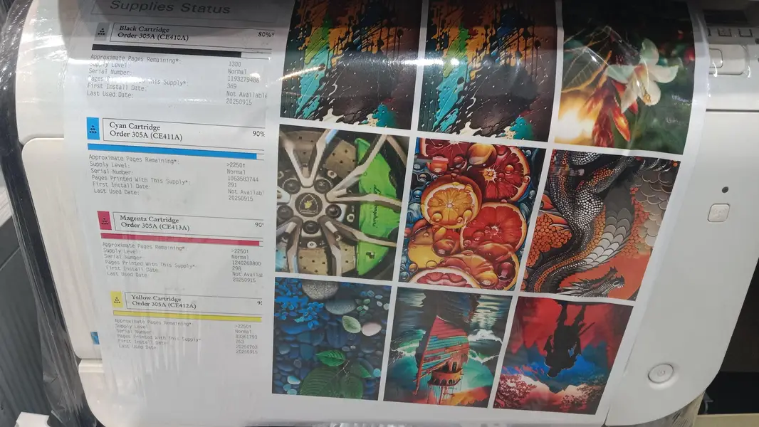 573694860-800x600