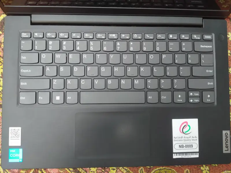 584311506-800x600