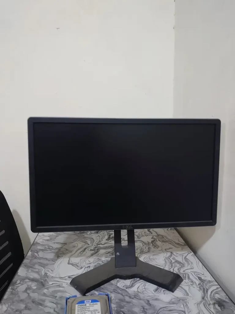 Dell 24″ Monitor x2
