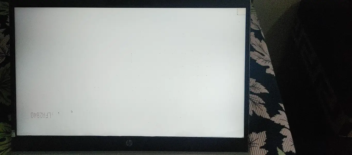 612451026-800x600