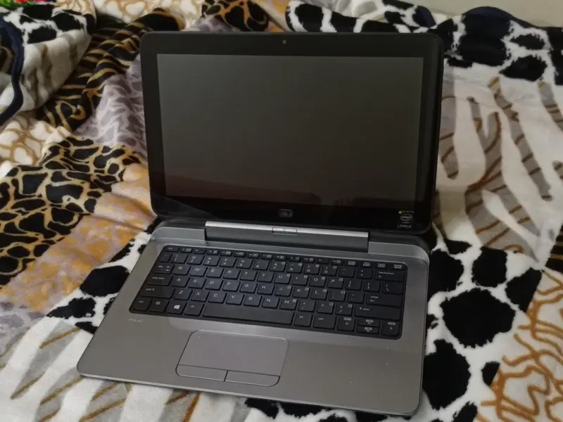613499493-800x600