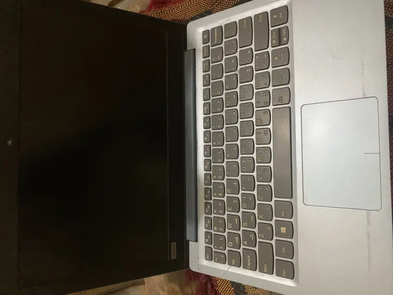 615476566-800x600