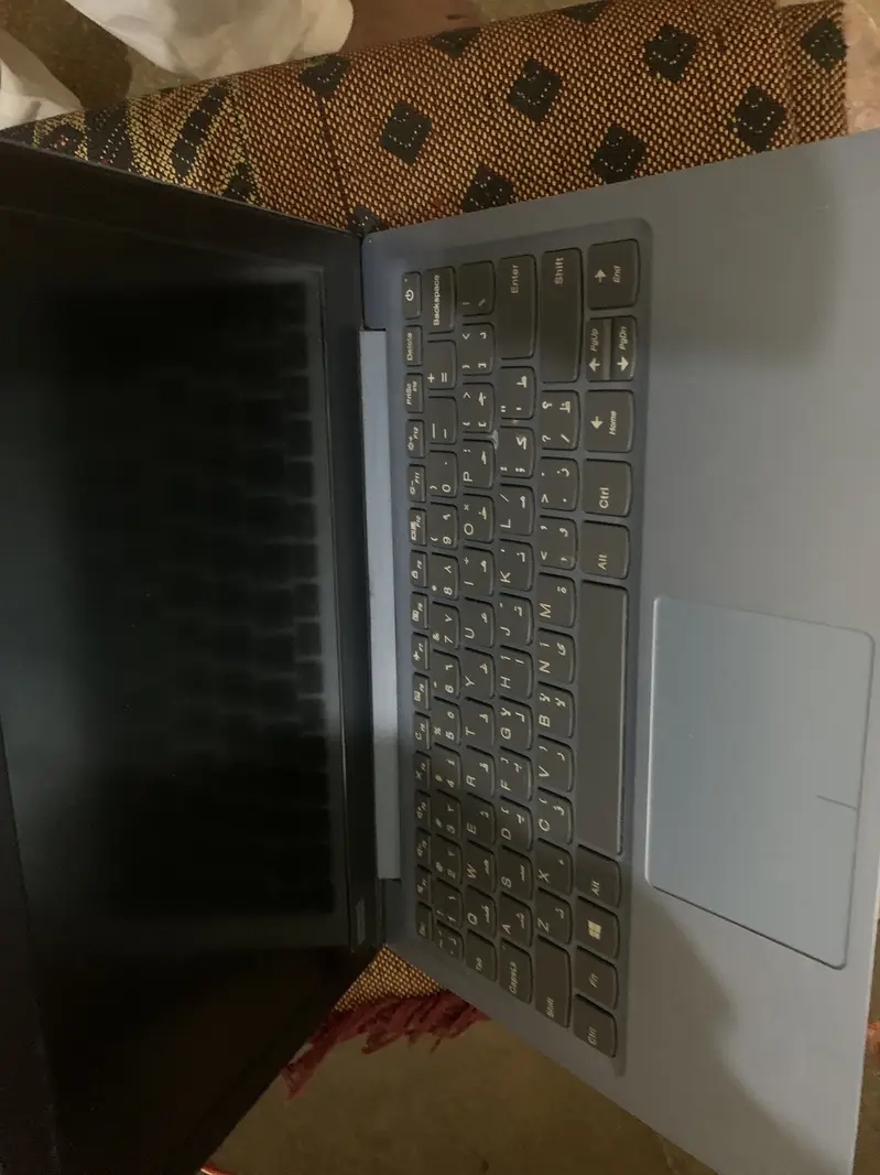 615476567-800x600