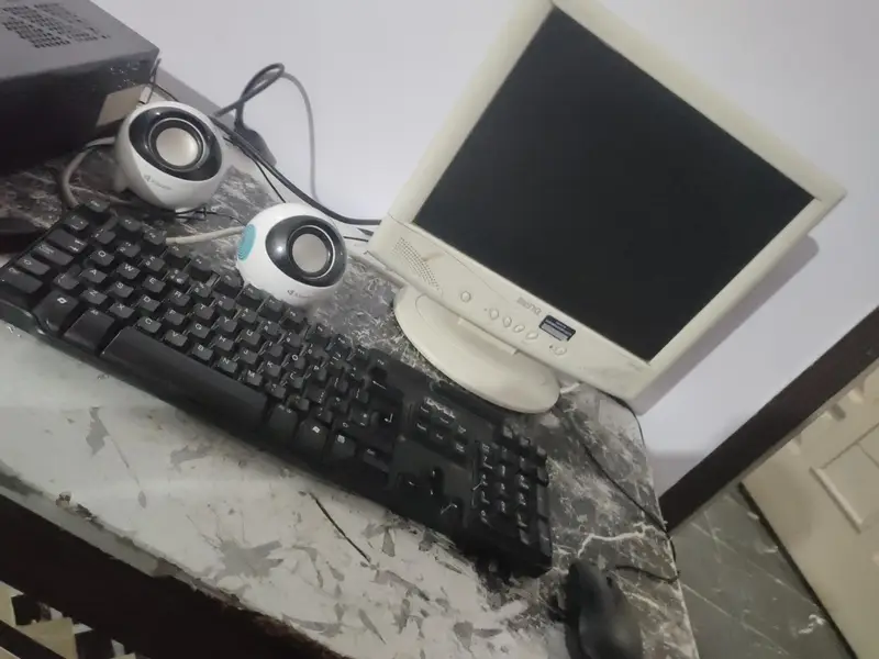 623898754-800x600