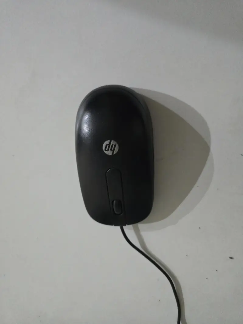 624020310-800x600